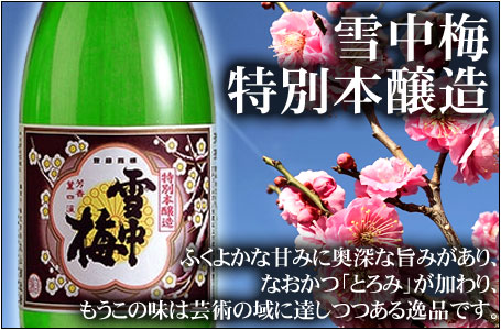 雪中梅　特別本醸造