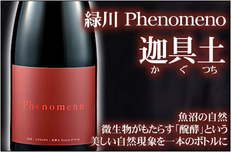 緑川 Phenomeno迦具土(かぐつち)
