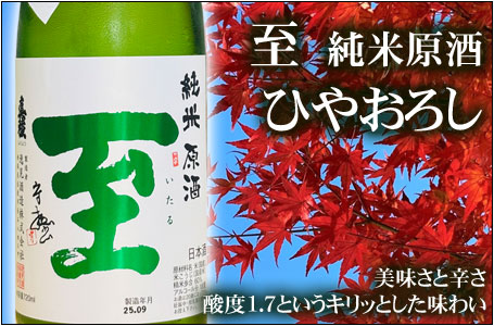 至 純米原酒 ひやおろし